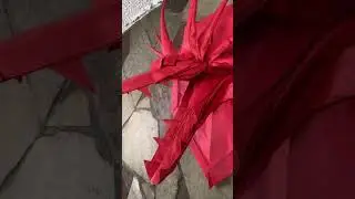 Life-size origami dragon #origami #dragon #papercraft
