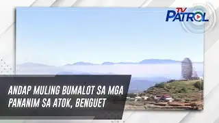 Andap muling bumalot sa mga pananim sa Atok, Benguet | TV Patrol