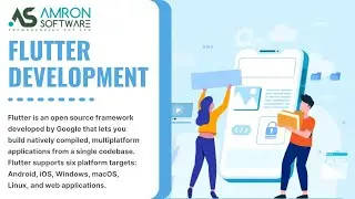 Flutter Application Development Services in United States - Amron Software Technologies Pvt. Ltd.