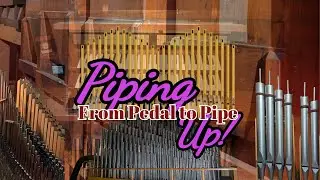 Piping Up! Harmony Restored: The Schlicker Organ's Impact on Wilkes-Barre