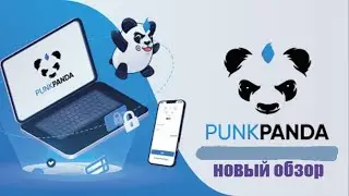 PUNK PANDA  ПРЕЗЕНТАЦИЯ- НОВАЯ!