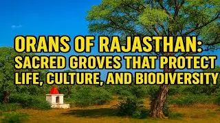 Orans of Rajasthan: Sacred Groves That Protect Life, Culture, and Biodiversity