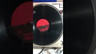 The Freedom - Nerosubianco LP