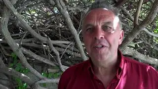 Treasure Beach Health - Norbert Bleses