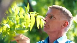 Greg's farm, and energy's role