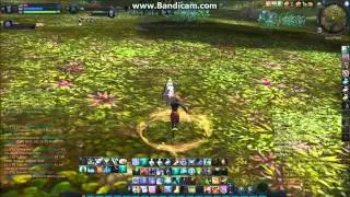 Aion PVP Spatalos