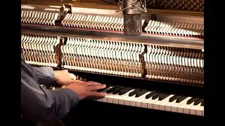 NO TALKING - Felt Piano Comparison (Original Felt, LABS Soft, BotDog, Noire, Grandeur and Pianoteq)