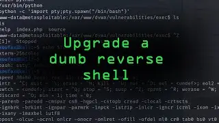 Upgrade a Dumb Reverse Shell into a Fully Functional Terminal [Tutorial]