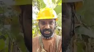 ലൈവ് ഹൈലൈറ്റ്