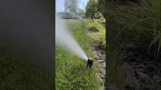Osuszanie systemu nawadniania po sezonie. System nawadniania przygotowany na zimę. #nawadnianie