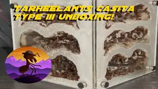 TarheelAnts Casita Unboxing!