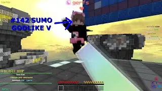 The #141 best sumo player