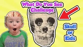 Illusions that will Blow Your Mind! What Do You See Challenge! | DavidsTV