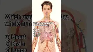 General Knowledge #studentshomelearning #science #quiz