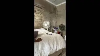 Simply Carol is live