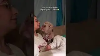 Dog Can't Believe His Owner Can 'Bark' Back! 🐶🤣