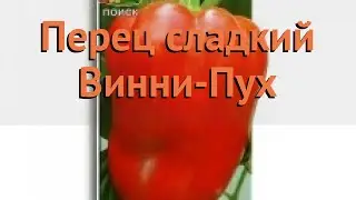 Перец сладкий Винни-Пух (vinni-pukh vinni-pukh) 🌿 обзор: как сажать, семена перца Винни-Пух