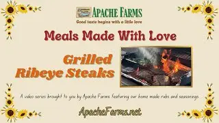 Grilled Ribeye Steaks