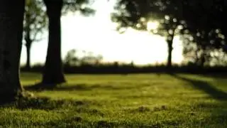 Eminem - Need Somebody ft. BoB