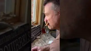 Man Befriending and Hand Feeding a Wild Squirrel