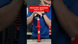 PROEXPERT heavy duty absorber vs STANDARD absorber