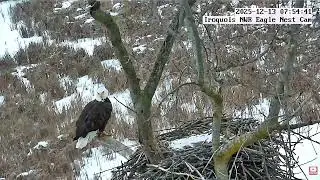 INWR-Nice hover off of nest 2025 12 13