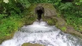 #ПрироданаЮтуб#NatureonYouTube#NaturalezaenYouTube#NaturesurYouTube#NaturezanoYouTube#AlamdiYouTube