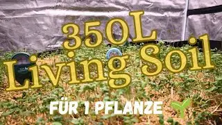 ULTIMATIVES Grow Setup: Mars Hydro + 350L Living Soil! (Schritt für Schritt Anleitung)