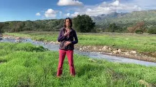 Qi Gong Standing Practice