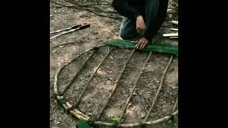 Bird nest shelter #primitive #outdoors #camping #survival #shorts