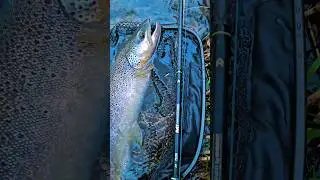 &ldquo;Once Upon a Time😎&hellip; the HANDING M1💥&rdquo; #handing #troutfishing #creekpatrol #fishing