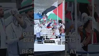 Palestinian flag bearer reflects on her responsibility at the Olympics