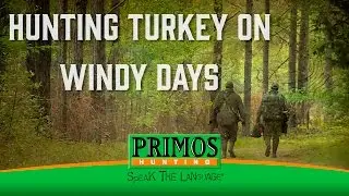 How to Hunt Turkeys on Windy Days