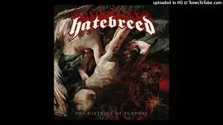 Hatebreed - The Divinity Of Purpose