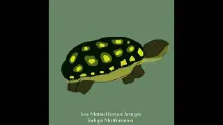 Tortuga (@josemanuelgomezarrayas) |Jose Manuel Gomez Arrayas