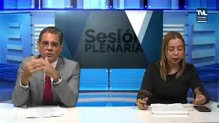 PLENO DE LA ASAMBLEA NACIONAL
