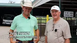 Chris French Mule Trainer
