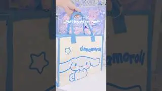 What I bought this month🌨️🩵(sry for not posting videos these days🥺)#cinnamorollsanrio #haul