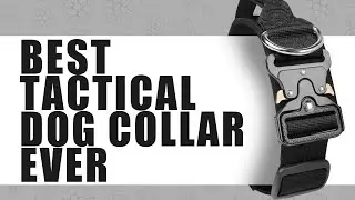 Heavy-Duty Tactical Dog Collar with Handle | Custom Training & Metal Buckle Pet Collar