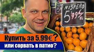 Тайна фруктов Мадрида: какой фрукт поспевает в Мадриде в конце Мая?