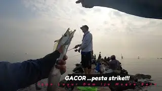 Episode # 02 Pesta Strike  Ikan Layur || Muara Baru