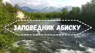 Самое красивое место Швеции &ndash; заповедник Абиску