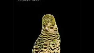 Andrew Bird    Imitosis Four Tet Remix  HQ360p H 264 AAC