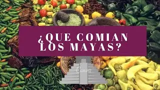 &iquest;Qu&eacute; com&iacute;an los MAYAS?