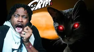 MOVIE NIGHT #22 | WARNING CAT LOVERS |  Crypt TV REACTION