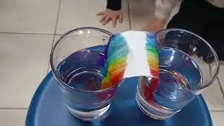 Water experiment: Can we make our own rainbow with tissue paper and water?? 