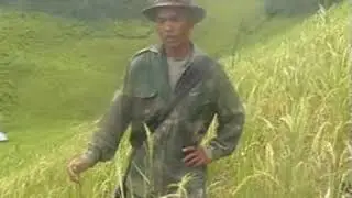 Samthang : Cyclone-in kum 2007-a samthang thlawhhma tih chhiat dan report