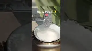#Wish You a Very  Happy Pongal 💖✨ #Follow me for more videos🤗#Stay connected🙃