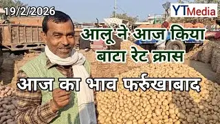 19/2/2026 Today's price of potatoes Farrukhabad/ Potato price today Farrukhabad