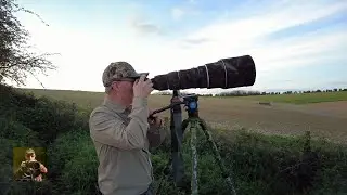 Long distance wildlife photography on 